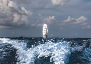 „Dar Młodzieży” wraca z ostatniego w tym roku rejsu