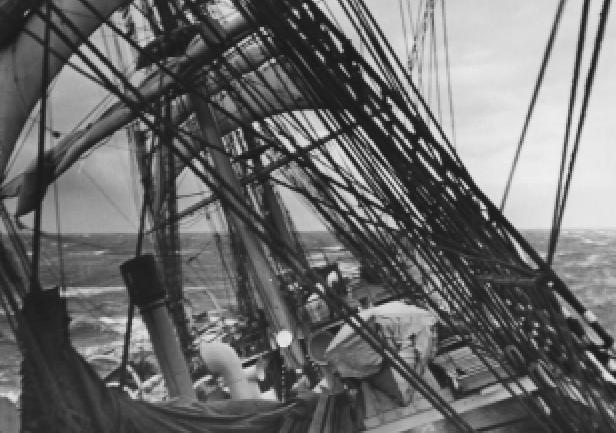 Na \"Darze Pomorza\" (fot. F. Staszewski)