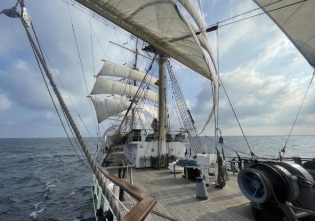 Fot. Andrzej Sokołowski