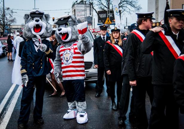 Wilki morskie, fot. Kamil Dopke Wilki morskie, fot. Kamil Dopke