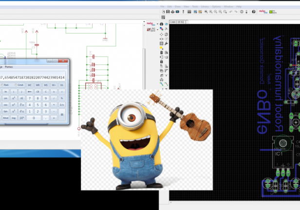 fot. Dominik Gornowicz